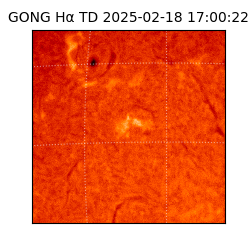 gong - 2025-02-18T17:00:22