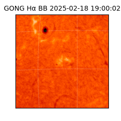 gong - 2025-02-18T19:00:02