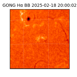gong - 2025-02-18T20:00:02