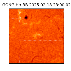 gong - 2025-02-18T23:00:02