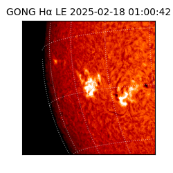 gong - 2025-02-18T01:00:42
