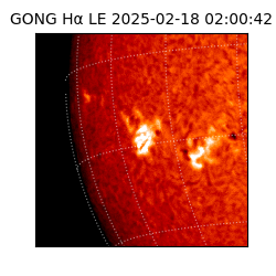 gong - 2025-02-18T02:00:42