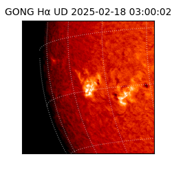 gong - 2025-02-18T03:00:02