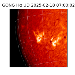 gong - 2025-02-18T07:00:02