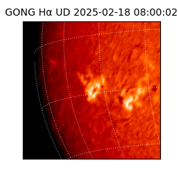 gong - 2025-02-18T08:00:02