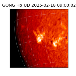gong - 2025-02-18T09:00:02
