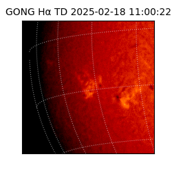 gong - 2025-02-18T11:00:22