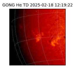 gong - 2025-02-18T12:19:22