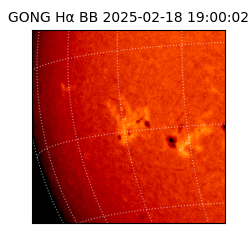 gong - 2025-02-18T19:00:02