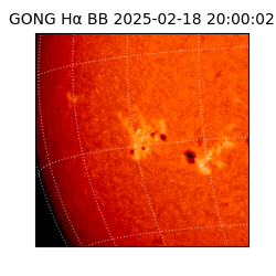 gong - 2025-02-18T20:00:02