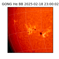 gong - 2025-02-18T23:00:02