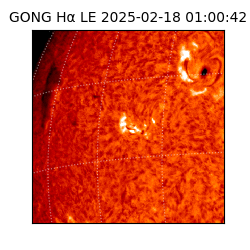gong - 2025-02-18T01:00:42