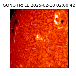 gong - 2025-02-18T02:00:42