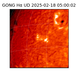 gong - 2025-02-18T05:00:02
