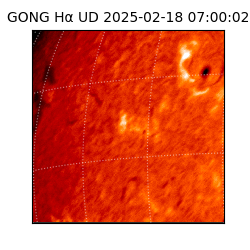 gong - 2025-02-18T07:00:02