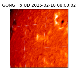 gong - 2025-02-18T08:00:02