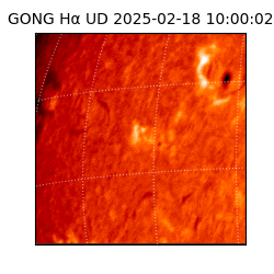 gong - 2025-02-18T10:00:02