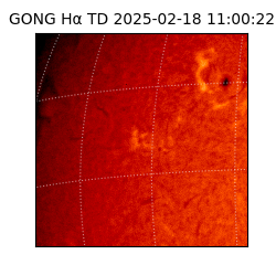 gong - 2025-02-18T11:00:22