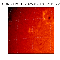 gong - 2025-02-18T12:19:22
