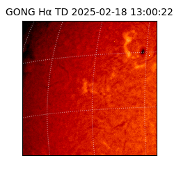 gong - 2025-02-18T13:00:22