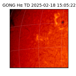 gong - 2025-02-18T15:05:22