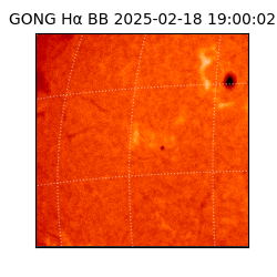 gong - 2025-02-18T19:00:02