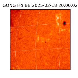 gong - 2025-02-18T20:00:02