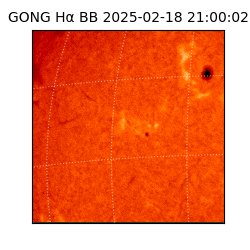 gong - 2025-02-18T21:00:02