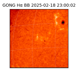 gong - 2025-02-18T23:00:02