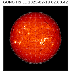 gong - 2025-02-18T02:00:42