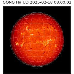 gong - 2025-02-18T08:00:02