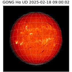 gong - 2025-02-18T09:00:02