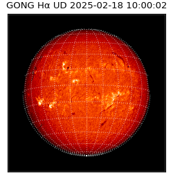 gong - 2025-02-18T10:00:02