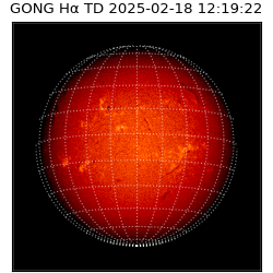 gong - 2025-02-18T12:19:22