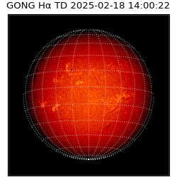 gong - 2025-02-18T14:00:22