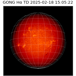 gong - 2025-02-18T15:05:22