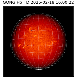 gong - 2025-02-18T16:00:22