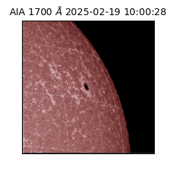 saia - 2025-02-19T10:00:28.717000