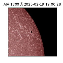 saia - 2025-02-19T19:00:28.717000