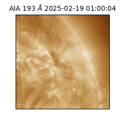 saia - 2025-02-19T01:00:04.843000