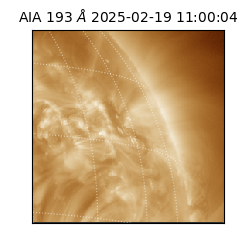 saia - 2025-02-19T11:00:04.843000