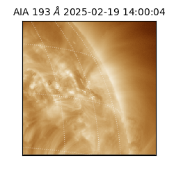 saia - 2025-02-19T14:00:04.843000