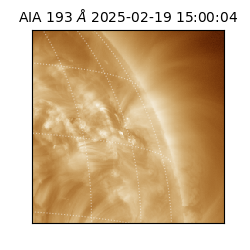 saia - 2025-02-19T15:00:04.843000