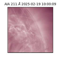 saia - 2025-02-19T10:00:09.630000