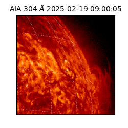 saia - 2025-02-19T09:00:05.130000