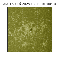 saia - 2025-02-19T01:00:14.126000