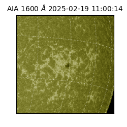 saia - 2025-02-19T11:00:14.126000