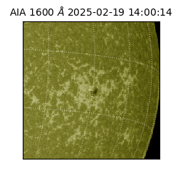 saia - 2025-02-19T14:00:14.125000