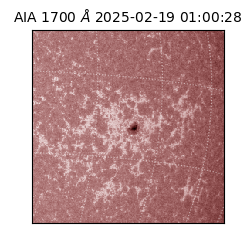 saia - 2025-02-19T01:00:28.729000