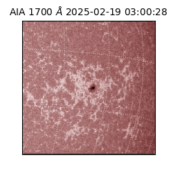 saia - 2025-02-19T03:00:28.720000